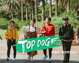 糖心vlgo网页版《TOP DOG》免费在线观看