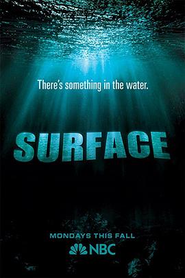 糖心vlgo网页版《水下之秘 Surface》免费在线观看